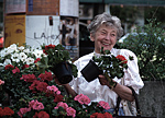 Outdoor market. Munich, Germany.